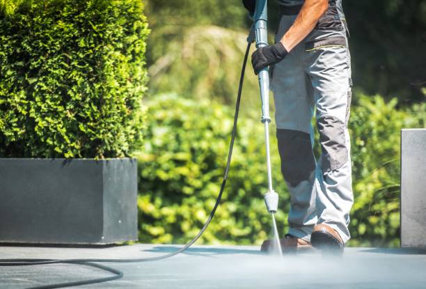 Best Soft Washing for Delicate Surfaces in Oakfield, WI